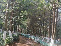 -洛龙公园