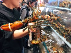 -超级物种·波龙工坊(国贸店)