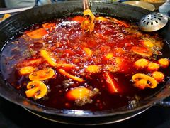 -星鸿社重庆老火锅