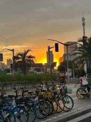 -WAVE SODA摄影工作室