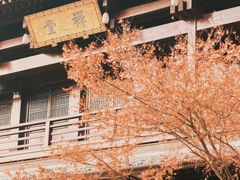 -香积寺