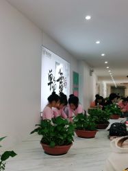 -单色舞蹈