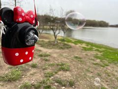 -长广溪湿地公园