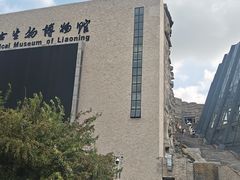 -辽宁古生物博物馆