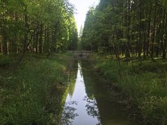 -黄海国家森林公园