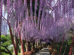 -揭东万竹园旅游景区