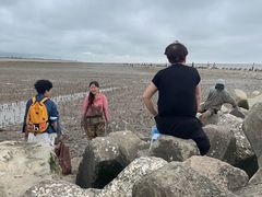 -南汇嘴观海公园