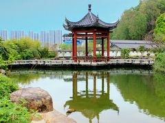 -广州神农草堂中医药博物馆