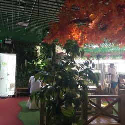 -芳妮豆丁家庭影像馆(宝安店)