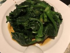 -翠华餐厅(湾仔店)