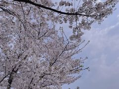 -龙美术馆(西岸馆)