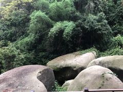 -火炉山森林公园