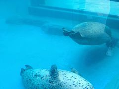 -海合安成都极地海洋公园