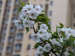 -菁汇公寓