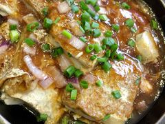 豆腐-红日饭店(裕隆三路店)