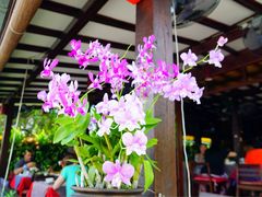 -Dash Teak House