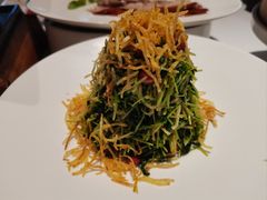 巧拌豆苗-四季民福烤鸭店(故宫店)