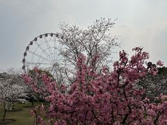 -DQ·蛋糕·冰淇淋(大宁国际商业广场店)
