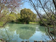 -西溪国家湿地公园