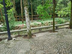 -白鹿洞书院