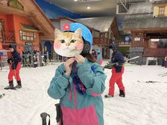 -长沙湘江冰雪世界