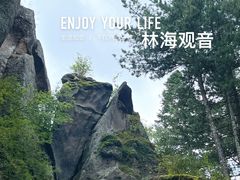 -汤旺河林海奇石景区