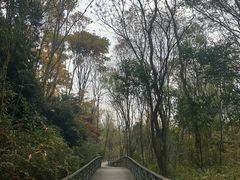 -西湖风景区-江洋畈生态公园