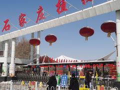 -石家庄市植物园