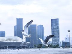 -东港音乐喷泉广场