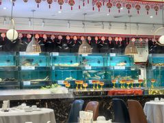 -潮粤香海鲜酒楼(沙湖店)