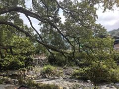 -石台牯牛降景区