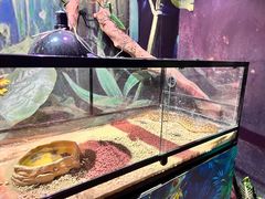 -正佳雨林生态植物园