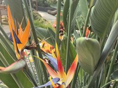 -厦门日月谷温泉渡假村