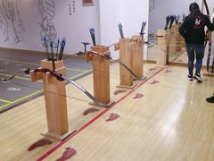 -道顺射箭·团建·骑射(张杨路店)