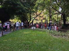 -成都市活水公园