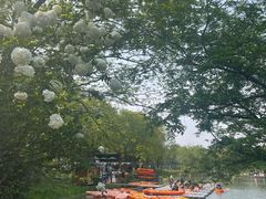 -西溪国家湿地公园