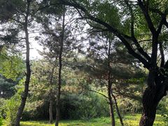 -北陵公园