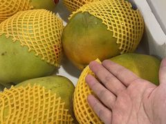 -西郊国际农产品交易中心