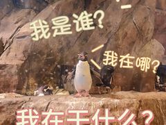 -香港海洋公园