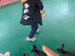 -黄龙溪欢乐田园