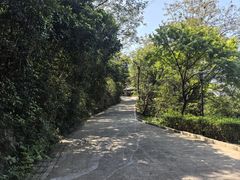 -小南山公园