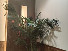 -清雅臻品·竹林院落·新派青岛菜(崂山店)