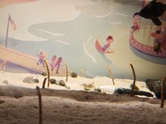 -欢乐海岸海洋奇梦馆
