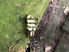 -金堂县云顶石城风景区