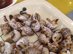 -鸿达渔港