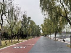 -咸阳湖景区-古渡公园