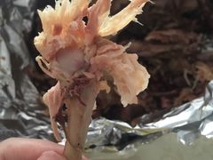 -王妈手撕烤兔