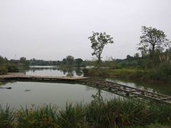 -白鹭湾湿地公园