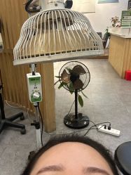 -章光101防脱养发荟