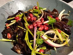 陈醋洋葱捞木耳-啫神·广州地标美食(北京路店)